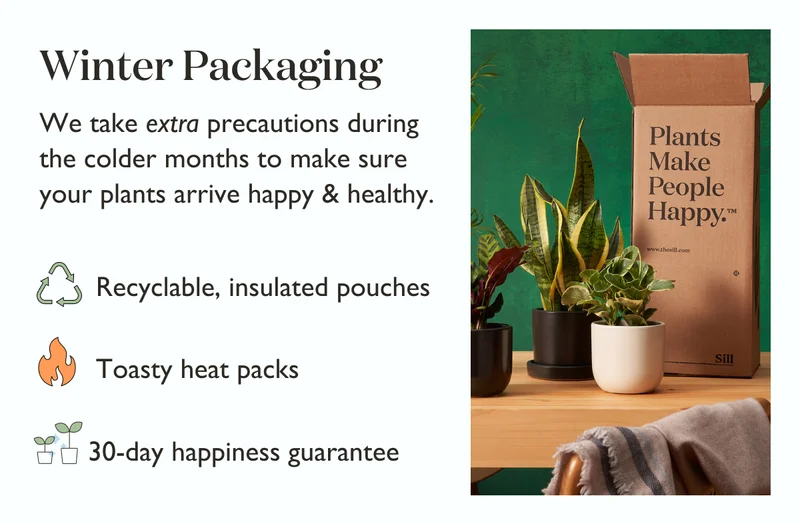 We take extra precautions during the colder months to make sure your plants arrive happy and healthy - including recyclable insulated pouches, toasty heat packs, and our 30-day happiness guarantee!