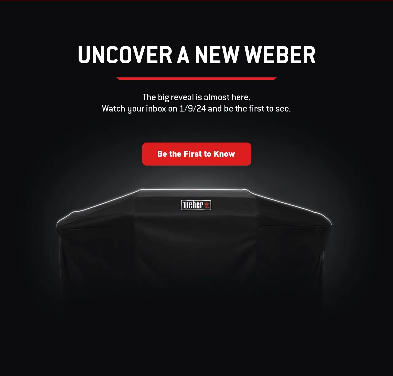 image link to not miss the big reveal