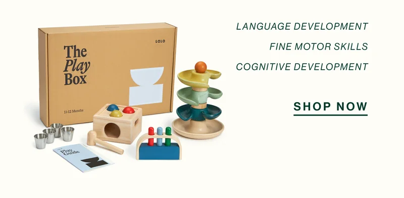 11—12 MOTNHS. language development fine motor skills cognitive development. SHOP NOW