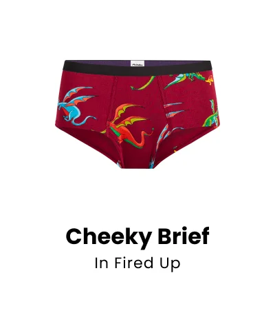 Cheeky Brief