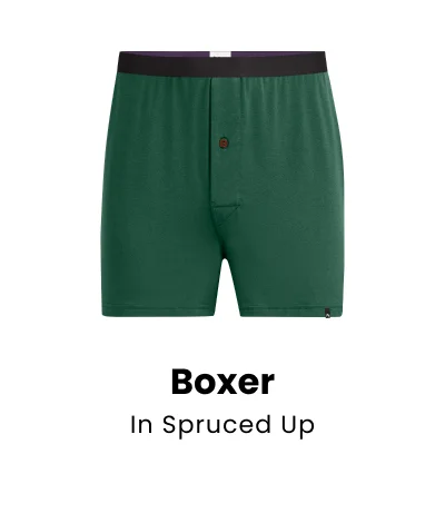 Boxer