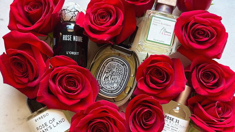 rose colognes