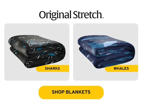 Whales & Sharks
