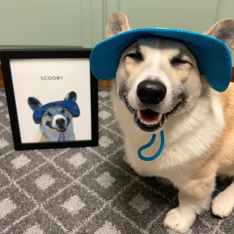 Instagram photo of a Corgi next to his Modern pet portrait