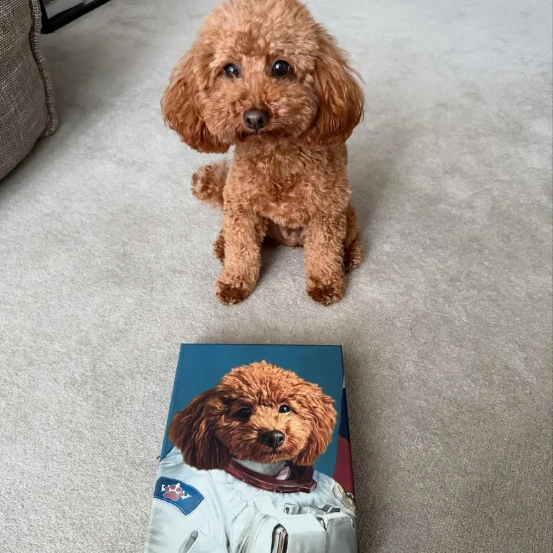 Instagram photo of a puppy cockapoo and his Astronaut portrait