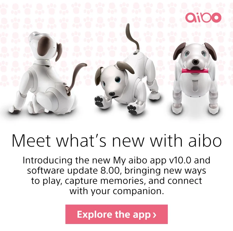 Meet what's new with aibo | Explore the app