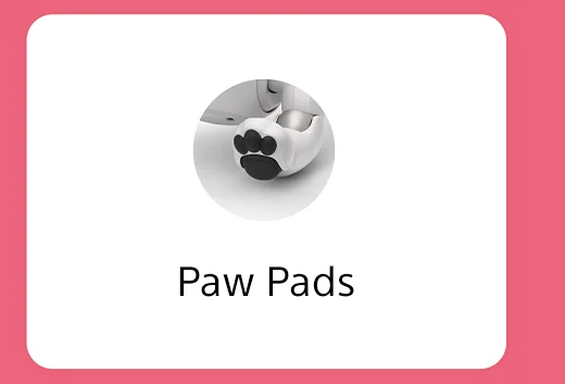 Paw Pads