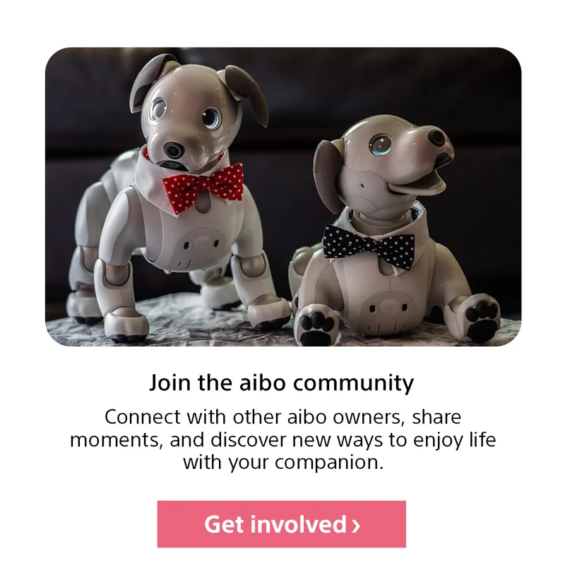 Join the aibo community | Get involved