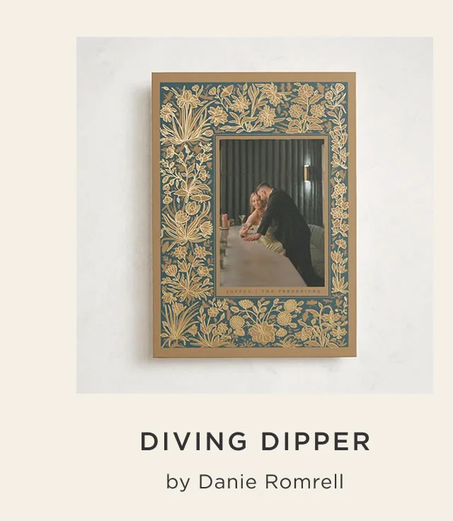 Diving Dipper