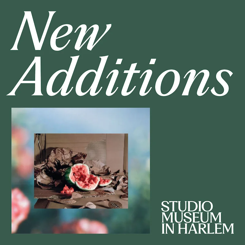 New Additions, Studio Museum in Harlem