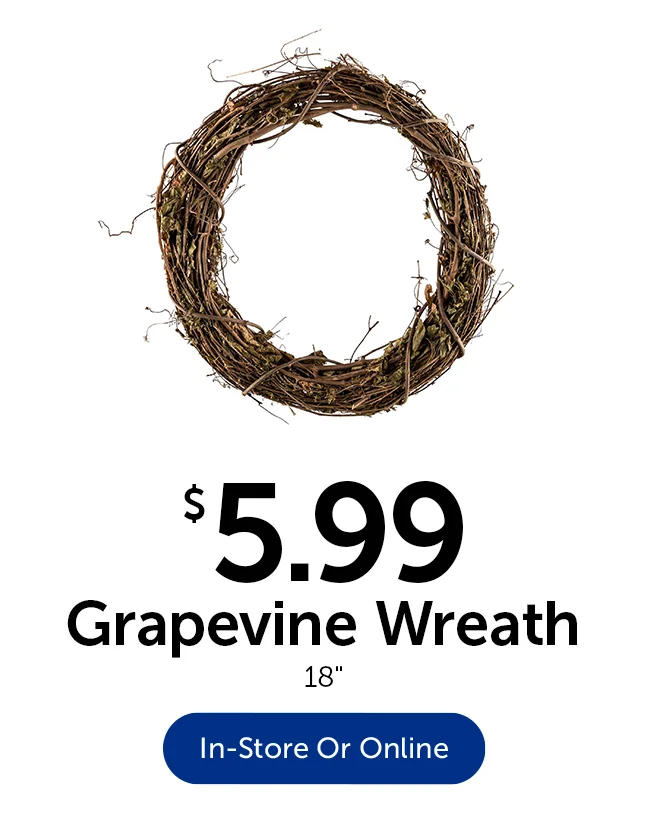 $5.99 Grapevine Wreath - 18 in.