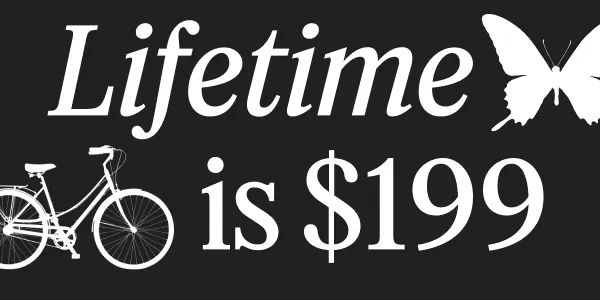 Black Friday Sale