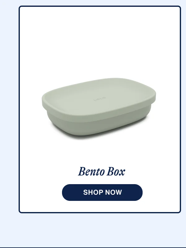 Bento Box- Shop Now