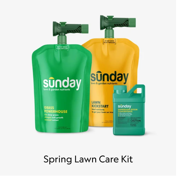 Spring Lawn Care Kit