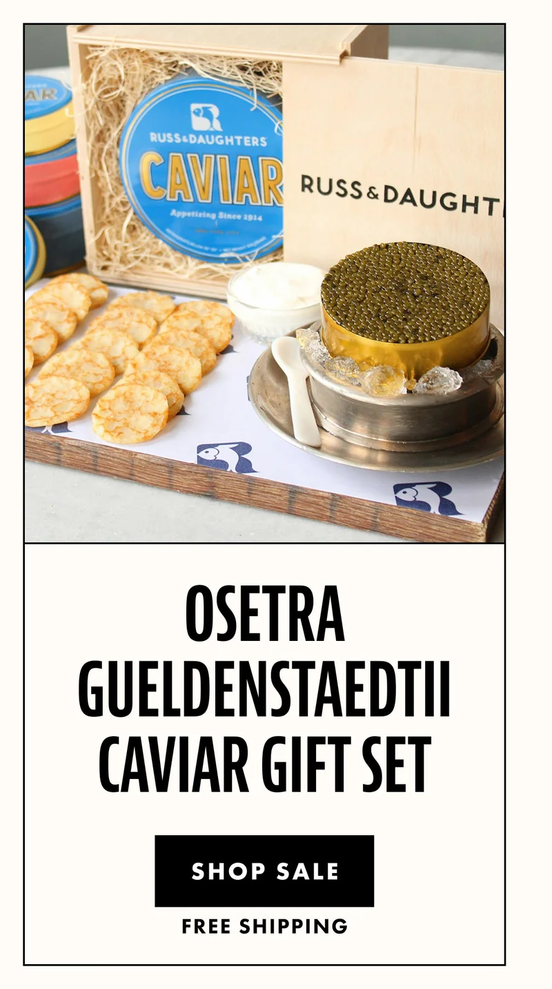 Osetra Gueldenstaedtii Caviar Osetra Gueldenstaedtii Caviar