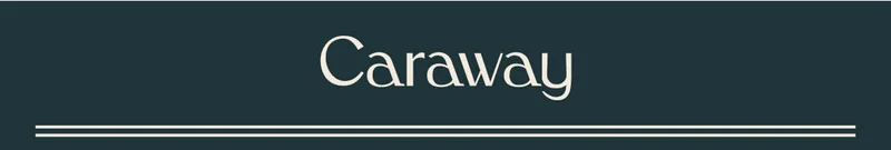 Caraway Home