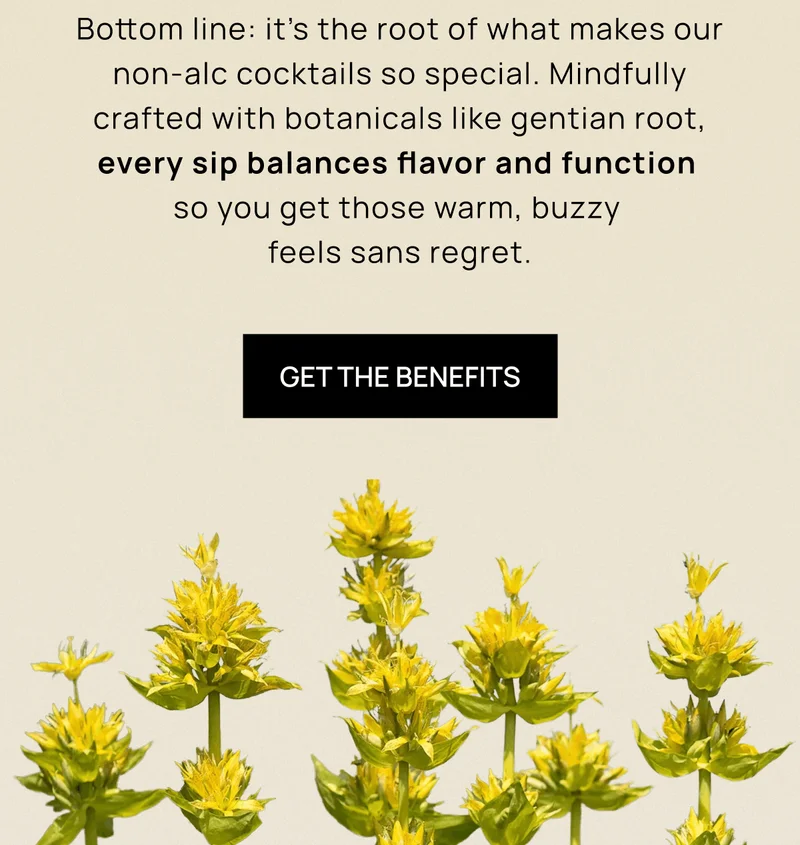 Bottom line: it’s the root of what makes our spritzes so special. Mindfully crafted with botanicals like gentian root, every sip balances flavor and function so you get those warm, buzzy feels sans regret.   CTA: Get the Benefits