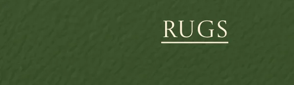 Shop Rugs