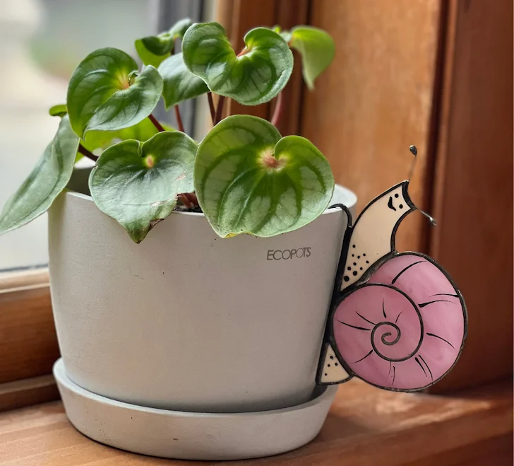 pink snail pot hugger