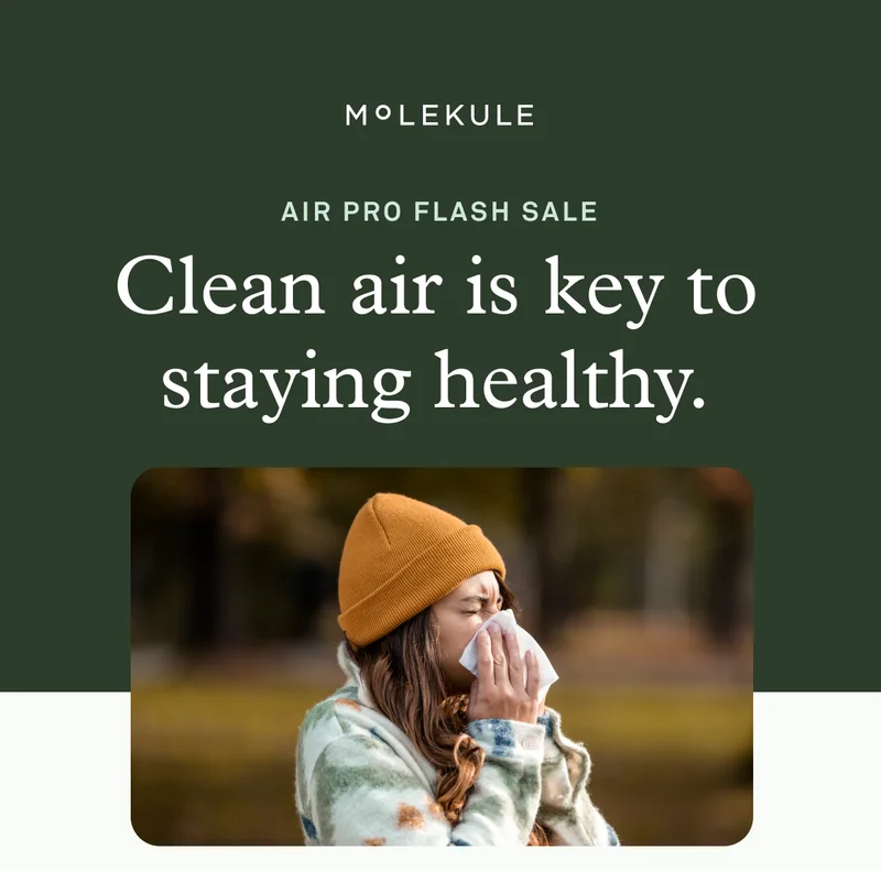 Air Pro Flash Sale: Clean air is key to staying healthy