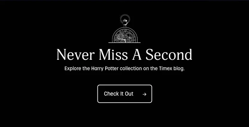 Check It Out - Timex