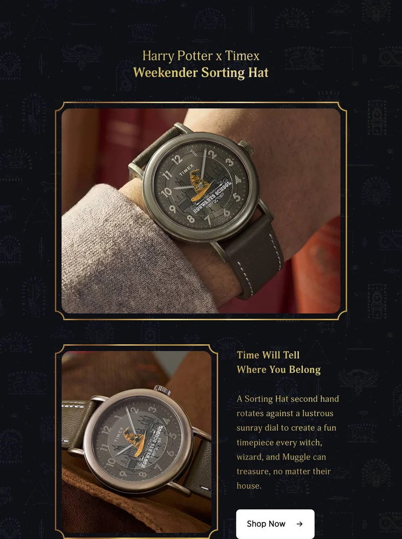 Shop Now (Weekender Sorting Hat) - Timex