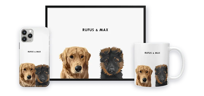 Modern Pet Portraits
