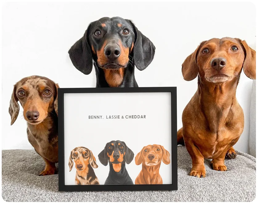 Three Pet Modern Pet Portrait