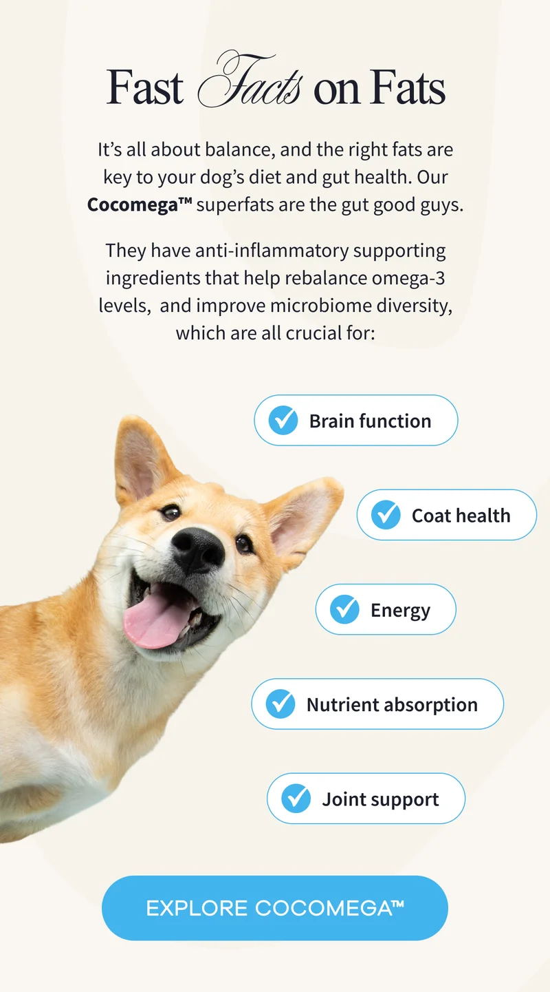 Fast Facts on Fats | EXPLORE COCOMEGA™