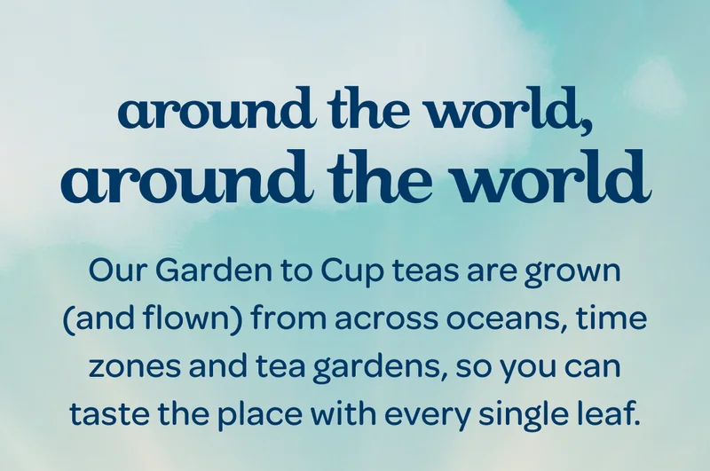 Around the world, Our Garden to Cup teas are grown (and flown) from across oceans