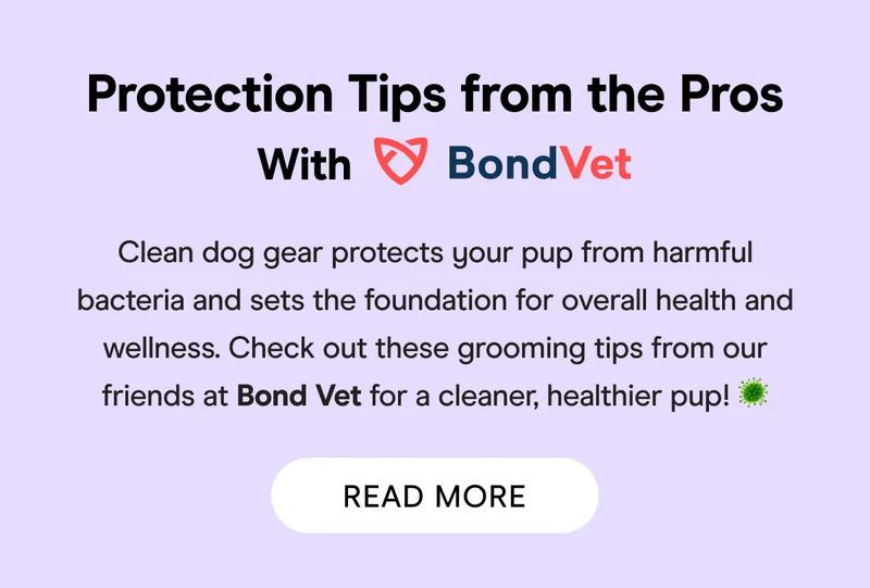 BondVet Tips