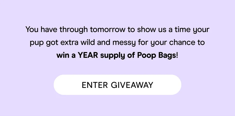 giveaway