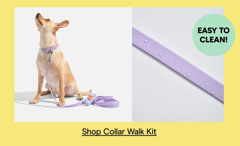 collar walk kit