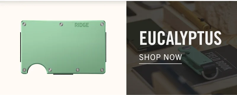 Shop Eucalyptus