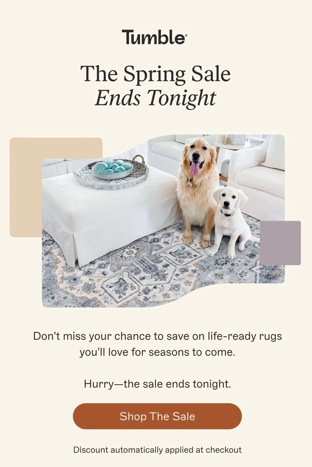 The Spring Sale Ends Tonight Don’t miss your chance to save on life-ready rugs you’ll love for seasons to come. Hurry—the sale ends tonight. Shop The Sale Discount automatically applied at checkout