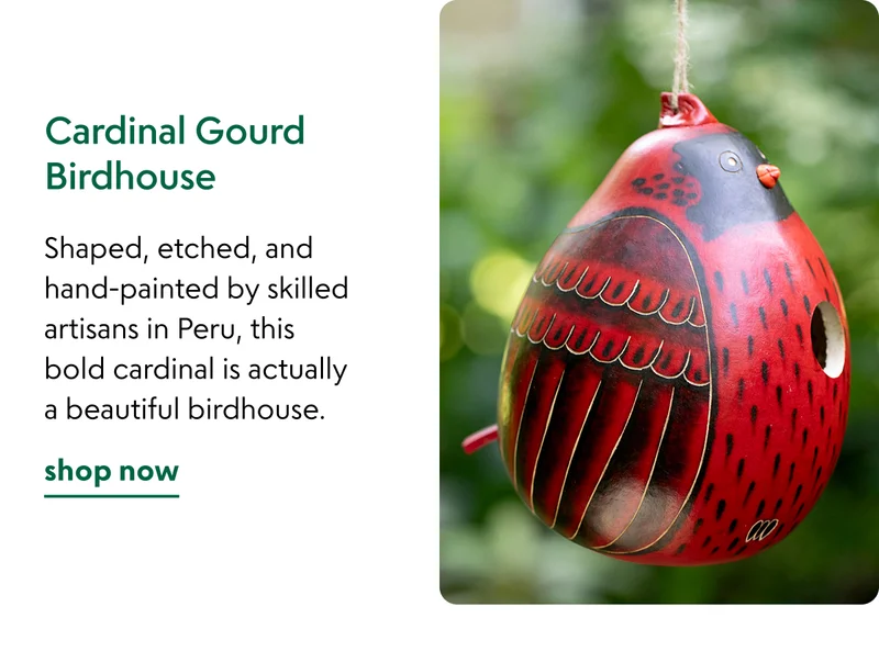 cardinal-gourd-birdhouse