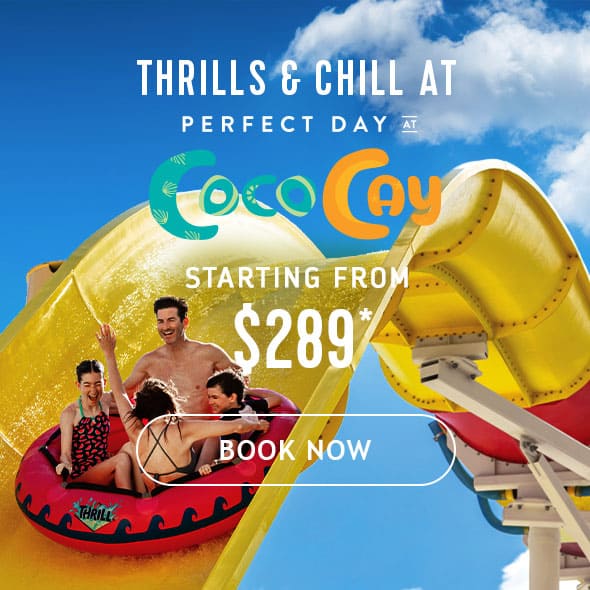 PERFECT DAY AT COCOCAY