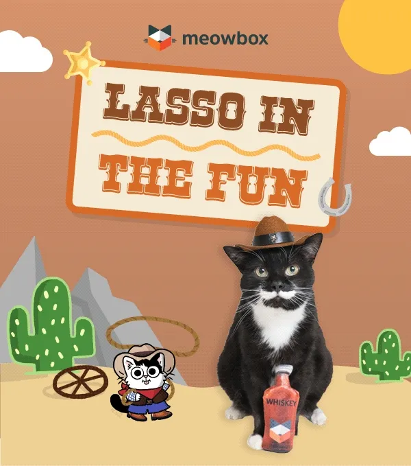 Lasso in the fun! Image wearing the Meowboy Hat Wearable toy in front of a Western background