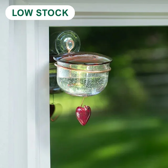 Charmed Hummingbird Window Feeder