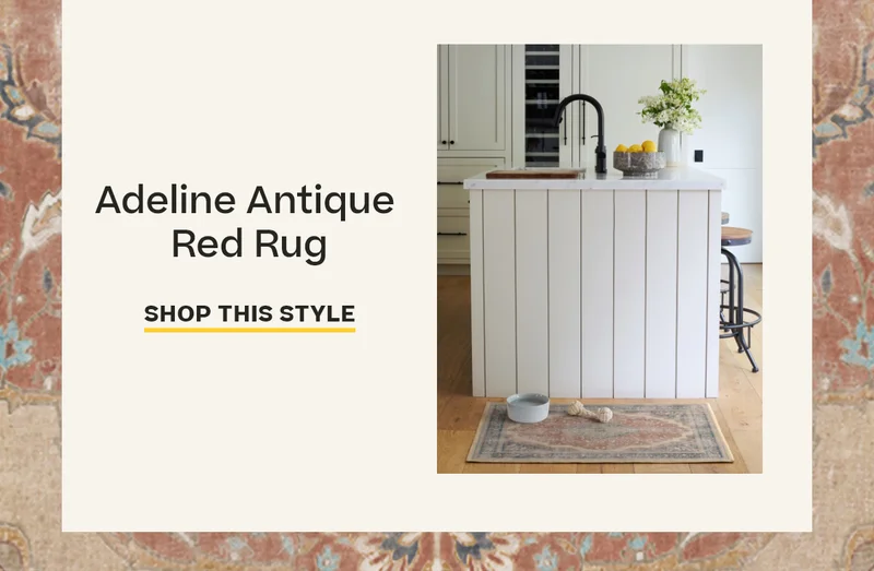 Adeline Antique Red Rug