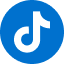 TikTok Link