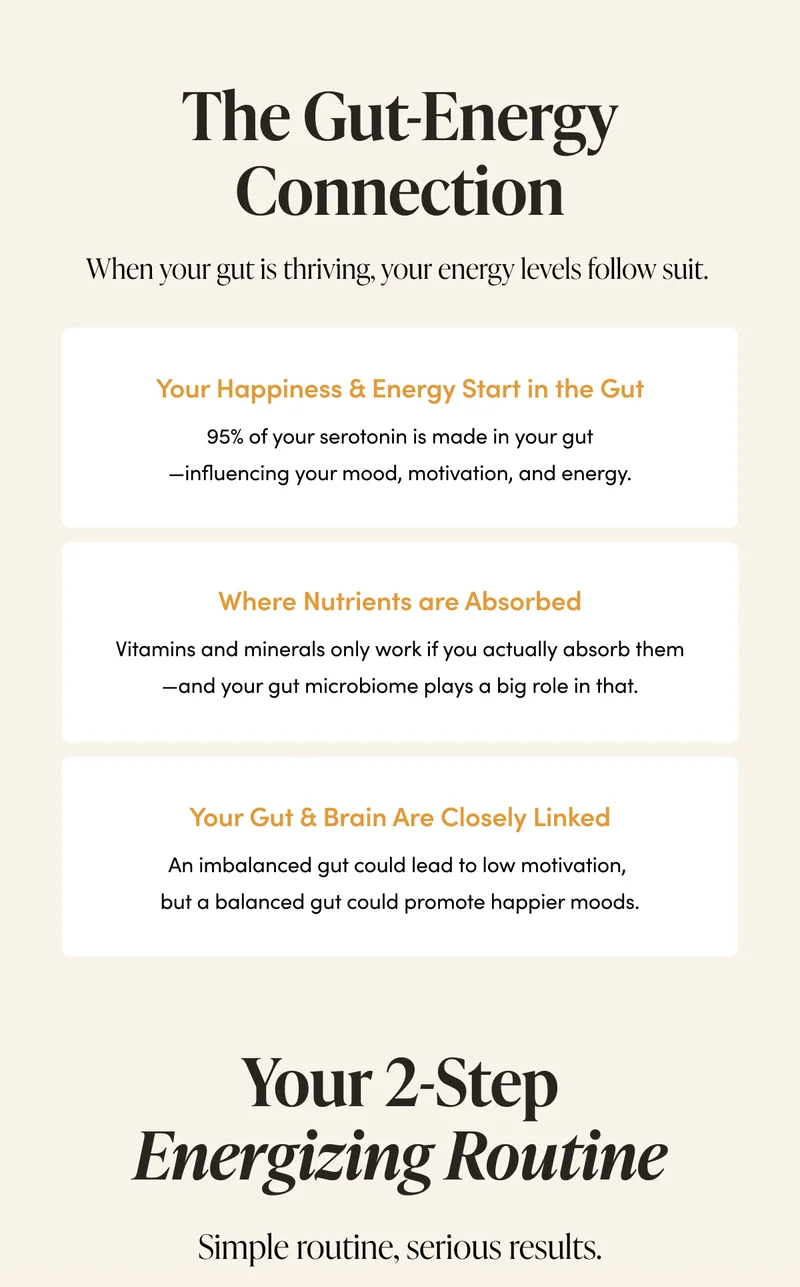 The Gut-Energy Connection     When your gut is thriving, your energy levels follow suit.   Your Happiness & Energy Start in the Gut  95% of your serotonin is made in your gut—influencing your mood, motivation, and energy.    More Nutrients ≠ More Energy  Vitamins and minerals only work if you actually absorb them—and your gut microbiome plays a big role in that.        Your Gut & Brain Are Closely Linked      An imbalanced gut could lead to low motivation, but a balanced gut could promote happier moods.