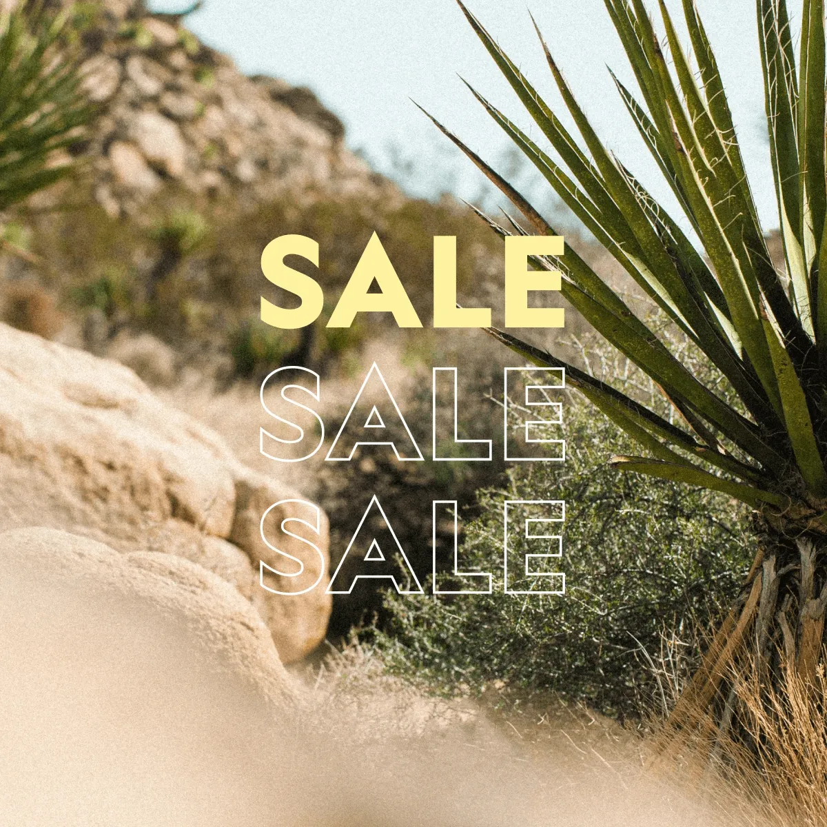 Memorial Day Promo