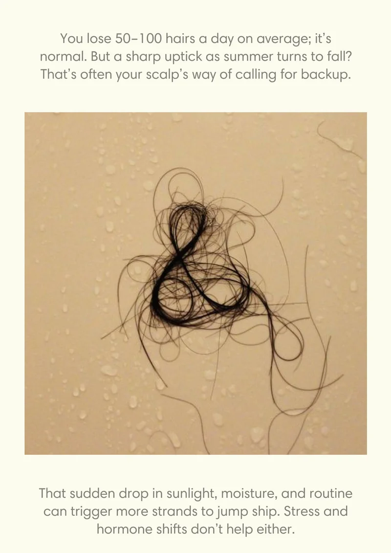 You lose 50–100 hairs a day on average; it’s normal. But a sharp uptick as summer turns to fall? That’s often your scalp’s way of calling for backup. That sudden drop in sunlight, moisture, and routine can trigger more strands to jump ship. Stress and hormone shifts don’t help either.