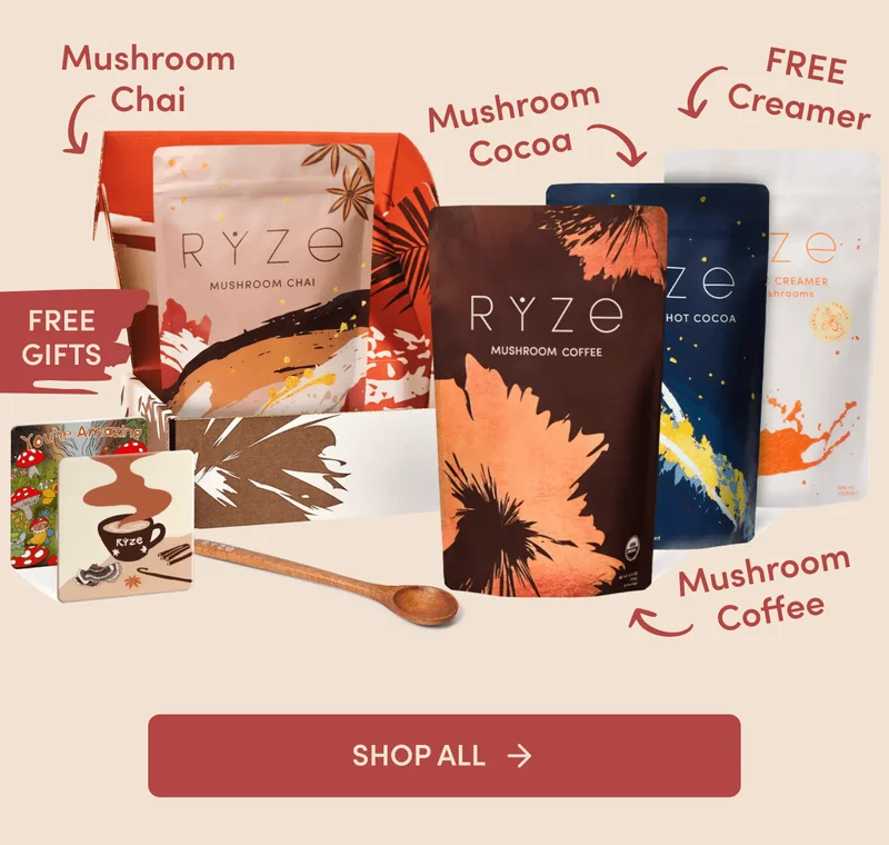 Shop All