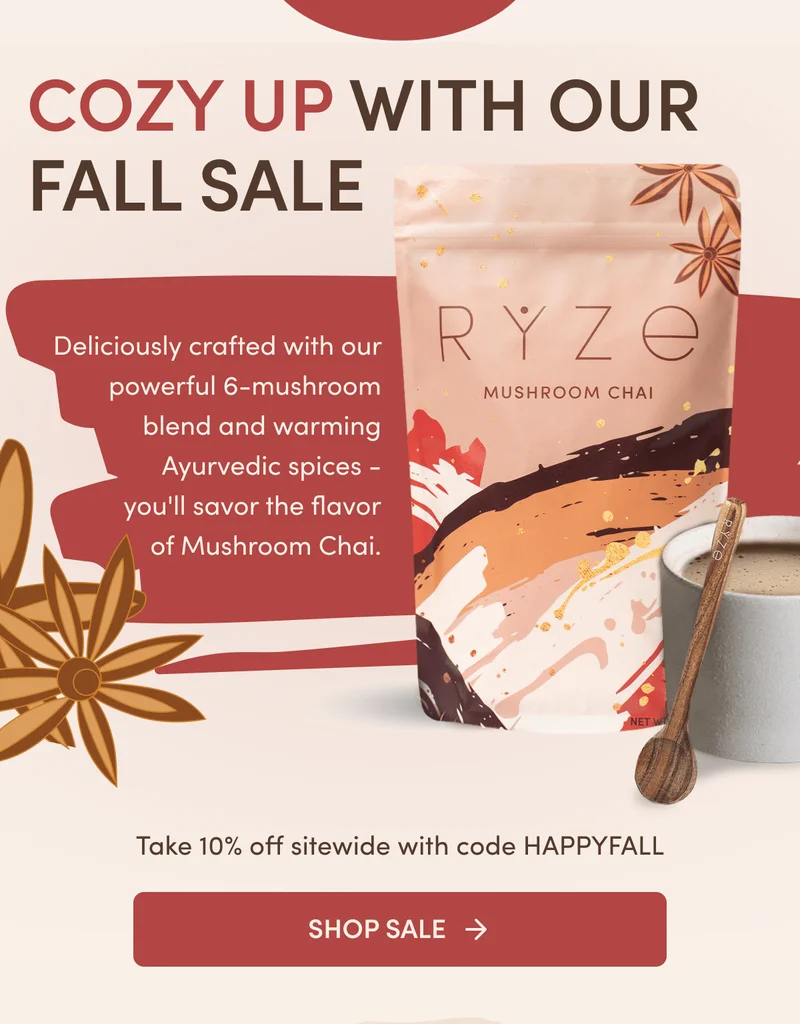 Cozy up with our fall sale | Deliciously crafted with our powerful 6-mushroom blend and warming Ayurvedic spices - you'll savor the flavor of Mushroom Chai. | Shop Sale
