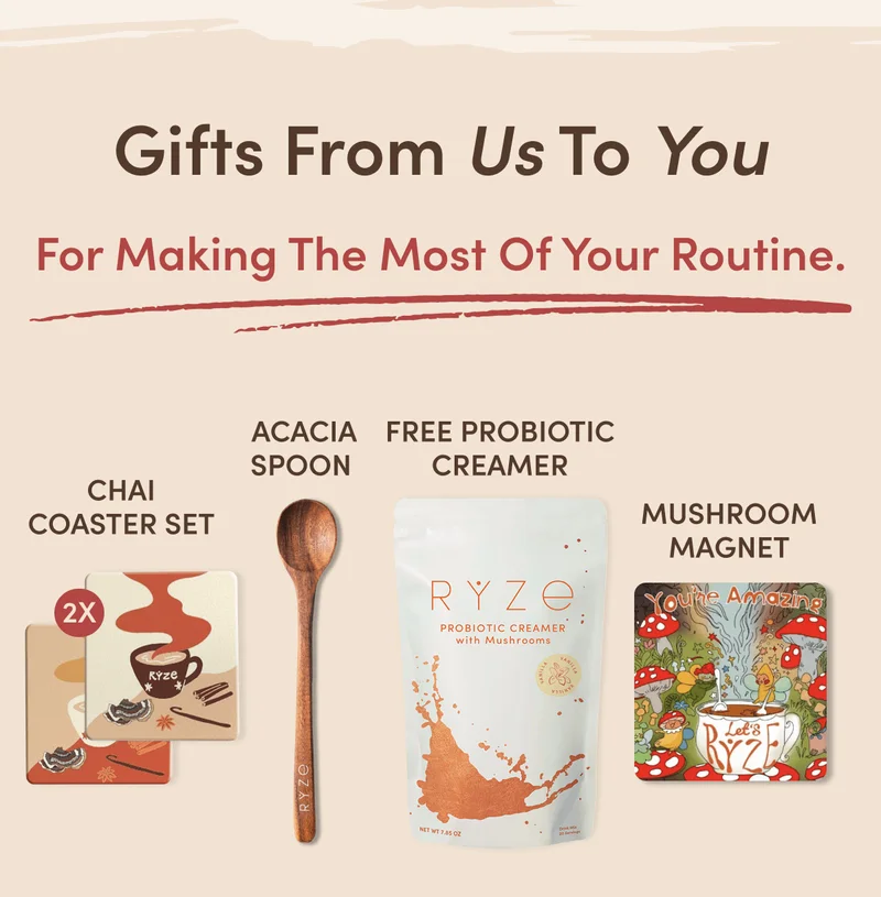 Gifts From Us To You For Making The Most Of Your Routine: Chai Coaster Set, Acacia Spoon, Free Probiotic Creamer, Mushroom Magnet