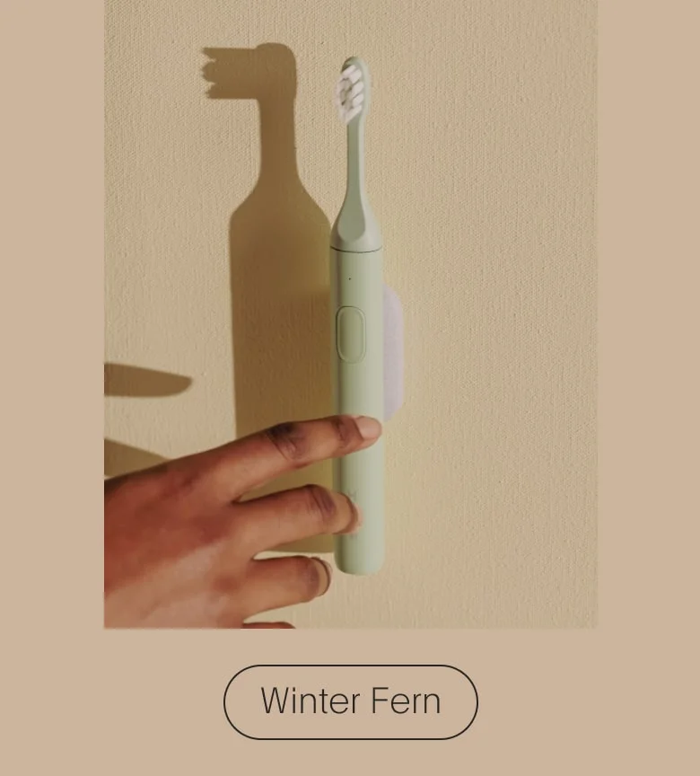 Winter Fern
