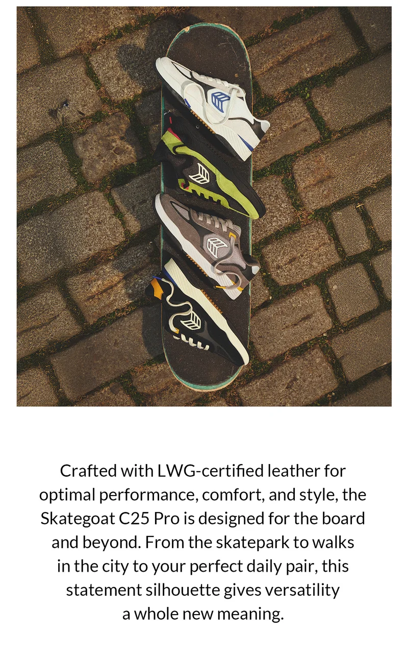 Canvas Oca Low