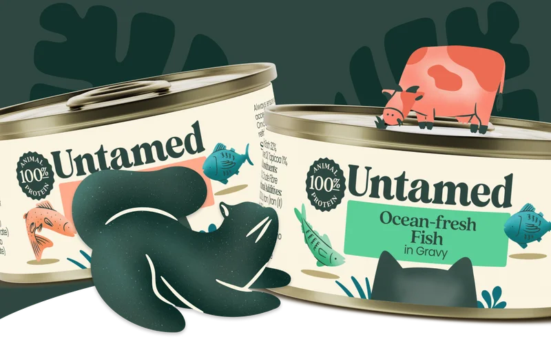 Untamed cat